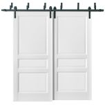 Barn Bypass Doors with 6.6ft Hardware | Lucia 31 White Silk | Sturdy Heavy Duty Rails Kit Steel Set | Double Sliding Kitchen Pantry Shaker Panel Door