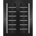 Sliding Closet Bypass Doors | Quadro 4088 Matte Black with Frosted Glass | Sturdy Rails Moldings Trims Hardware Set | Wood Solid Bedroom Wardrobe Doors 