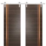 Sturdy Double Barn Door with Hardware | Planum 1010 Chocolate Ash and Aluminum Strips | Silver 13FT Rail Hangers Heavy Set | Modern Solid Panel Interior Doors