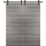 Planum 0010 Modern Interior Solid Wood Flush Closet Double Barn Doors Ginger Ash with Track 13FT Rail Hardware Set